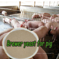 Alibaba Supplier Brewers Dried Yeast For Animal Feeds